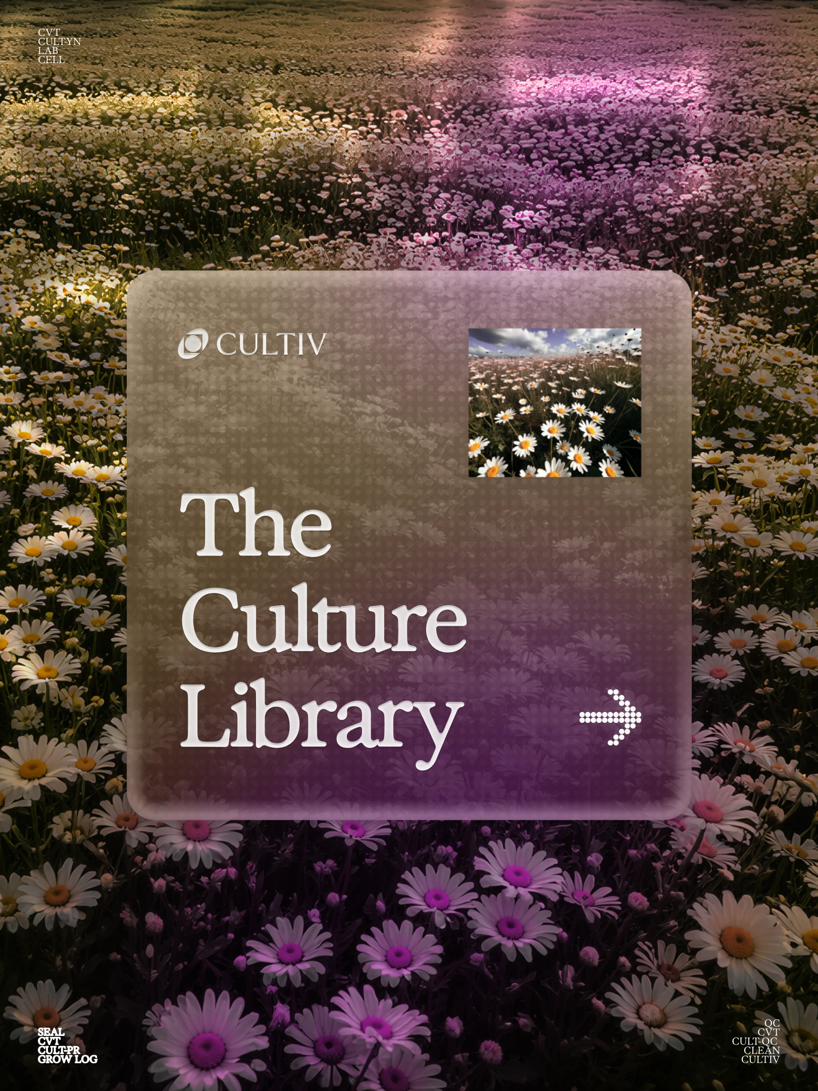 Glass card reading The Culture Library with the Cultiv logo, over a field of daisies