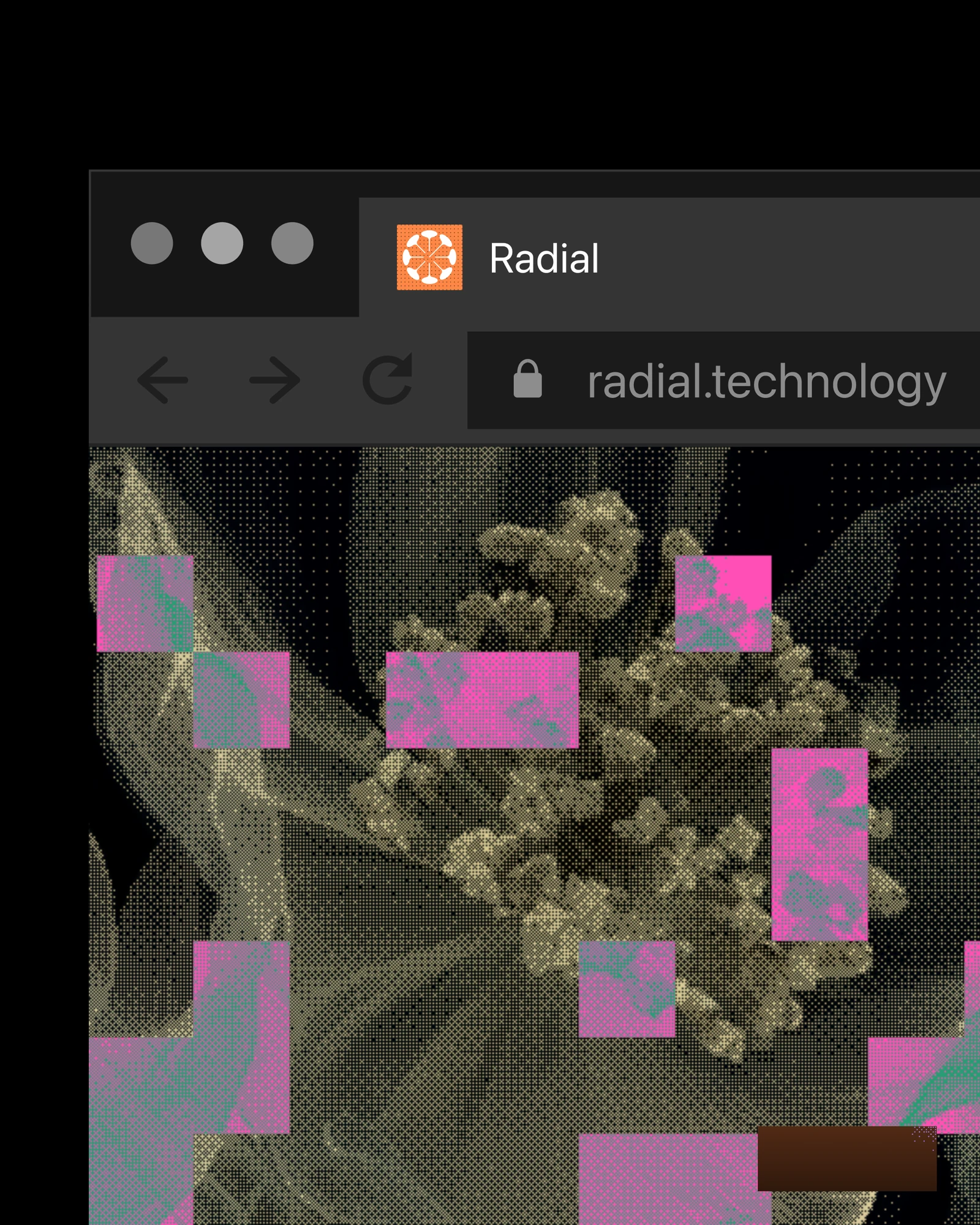 Radial website in a browser at radial.technology, a flower covered in pink data squares